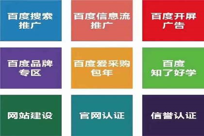 百度竞价推广案例：行业领军者成长故事